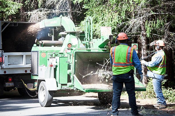 Seasonal Cleanup (Spring/Fall) in Madison, GA